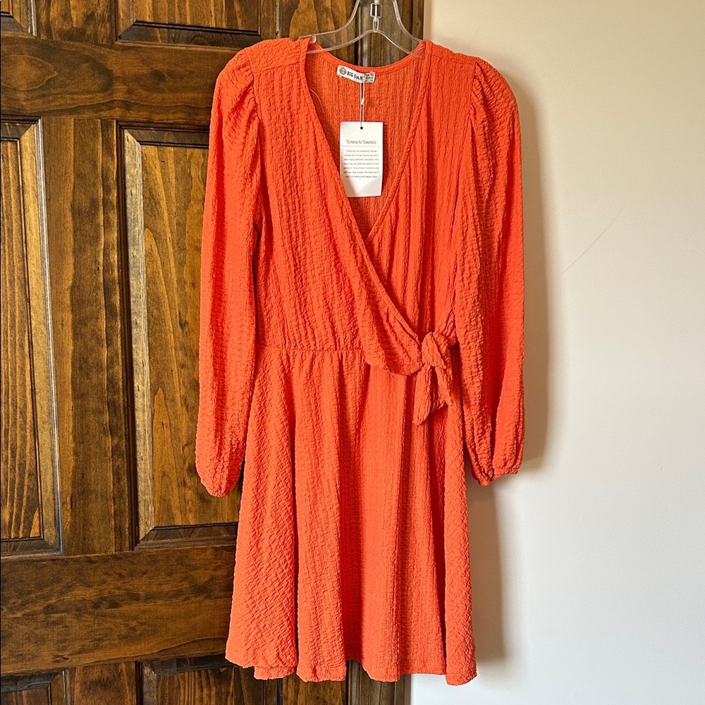 Elegant Orange Long Sleeve Dress